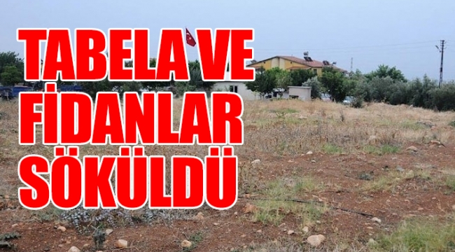 AKP’li müteahhit şehit ormanına göz dikti: Adım adım işgal...