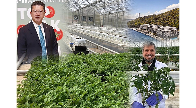 Lüks Otelde Şaşaalı Tanıtım: İstanbul ve Yediyol Holding, 100 İş İnsanın Parasını Domates Serasına mı Gömdü?